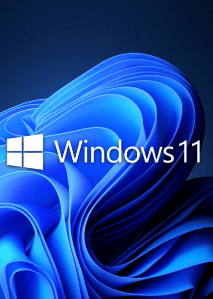 Microsoft Windows 11 Pro