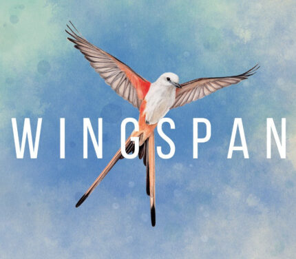 Wingspan Steam Key EUROPE